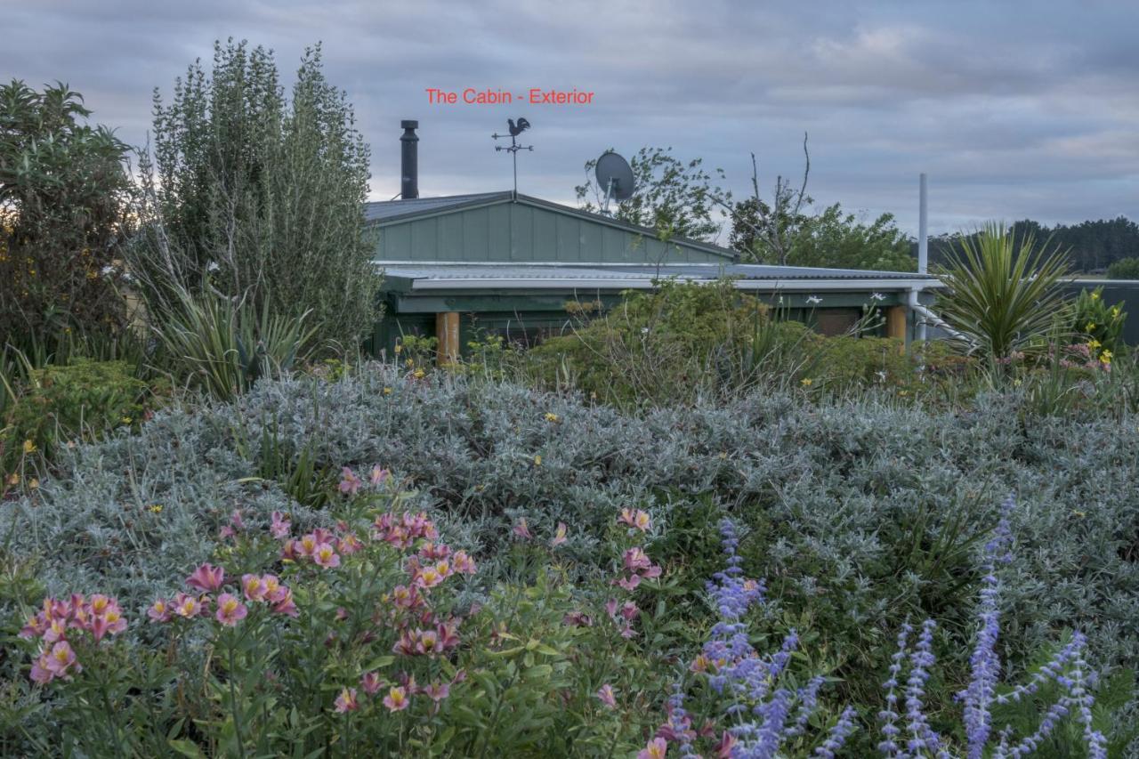 Tracy'S Boutique B&B Farmstay Wellsford Exteriör bild